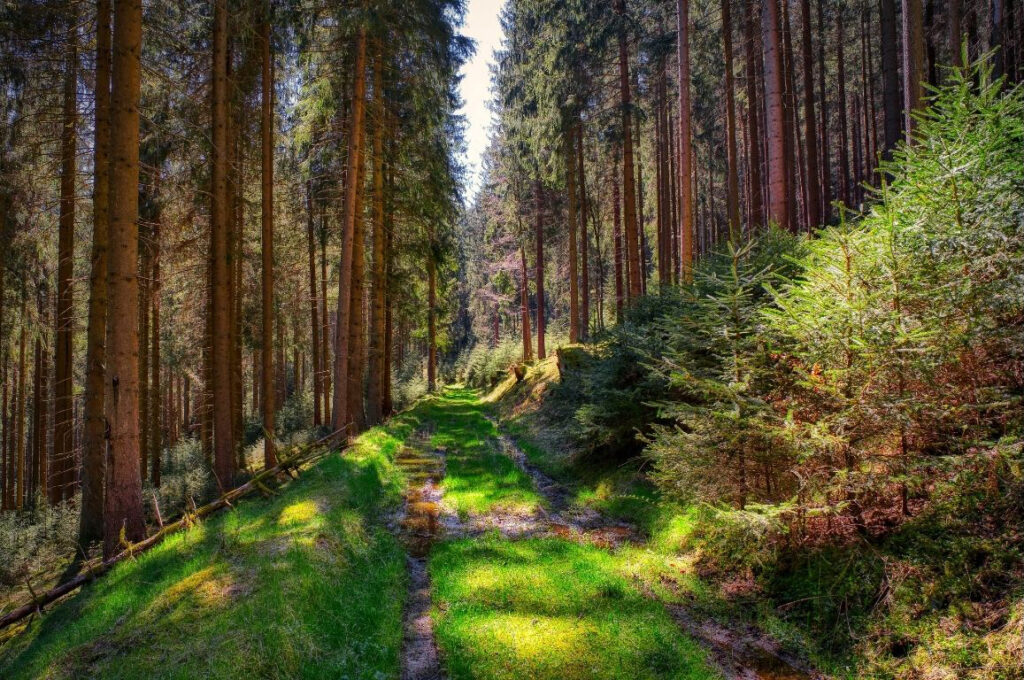 Rennsteig